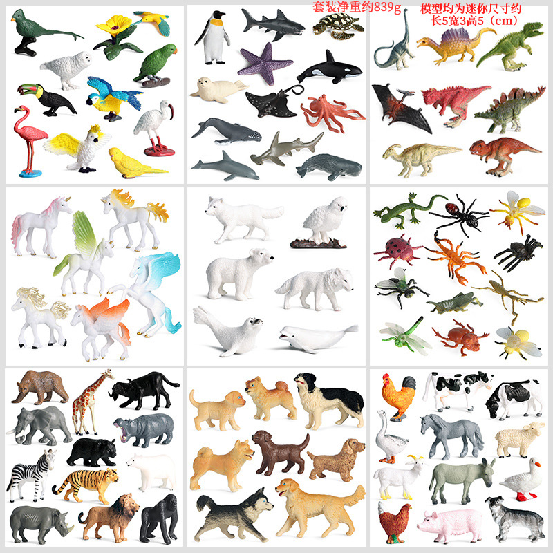 Marine Fish Tank - Ensemble de modèles d'animaux marins de