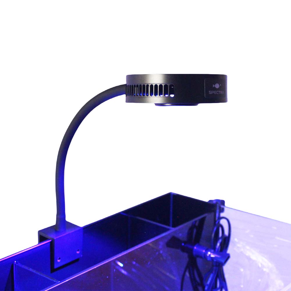 Reef Lighting - Aquaknight V2 Marine récif lumière 36W