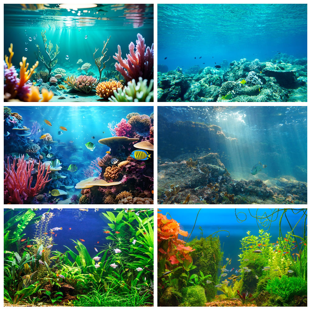 Aquarium Marine World - Monde sous-marin fond de mer photographie