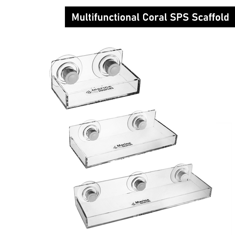 Marine Coral - Échafaudage multifonctionnel de SPS de corail