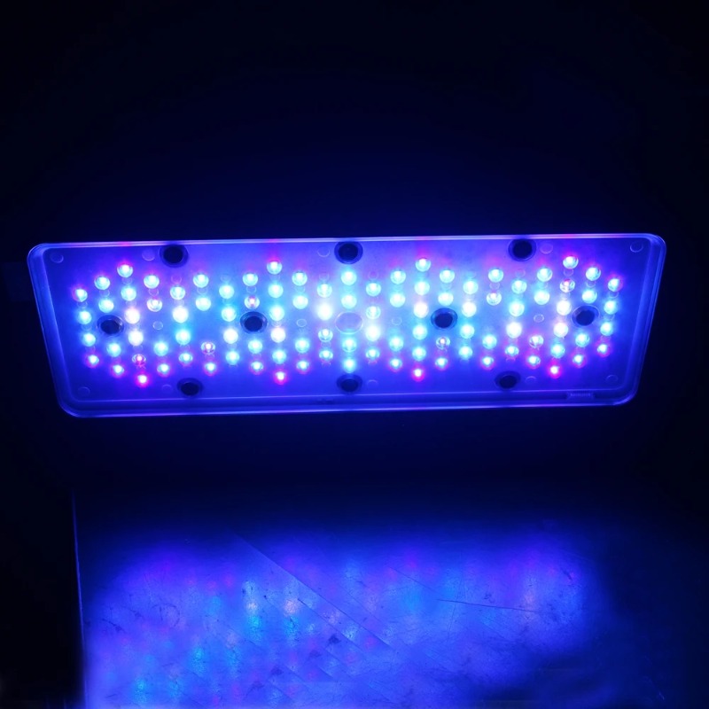 Lampes LED pour récifs coralli - Reef Lighting avis et prix