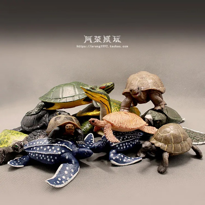 Cuirback tortue aux oreilles r - Ocean Aquarium avis et prix