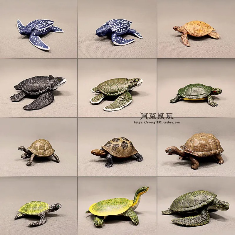 Cuirback tortue aux oreilles r - Ocean Aquarium avis et prix