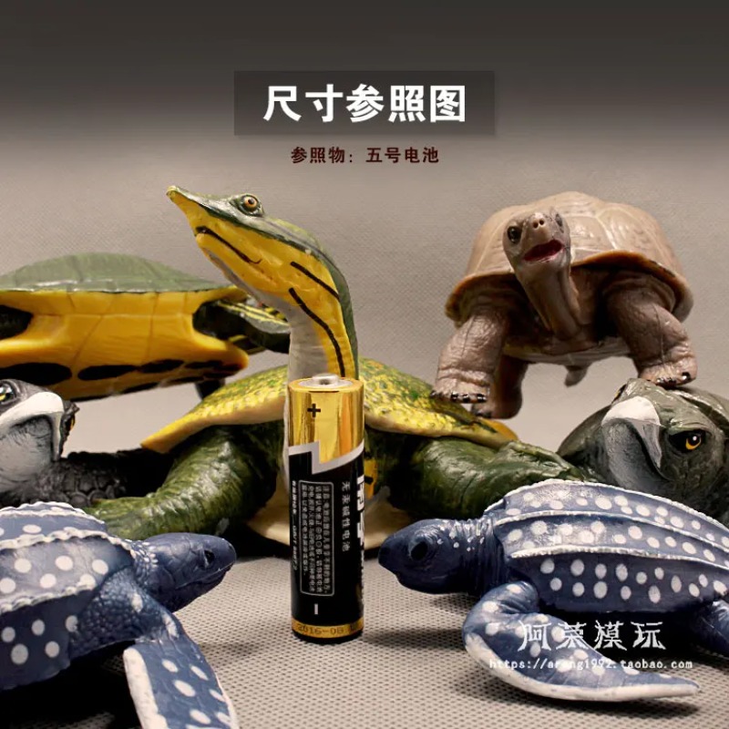 Cuirback tortue aux oreilles r - Ocean Aquarium avis et prix