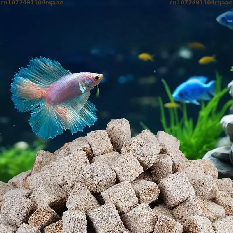 Vers de sang lyophilisés natur - Marine Aquarium Cube avis et prix