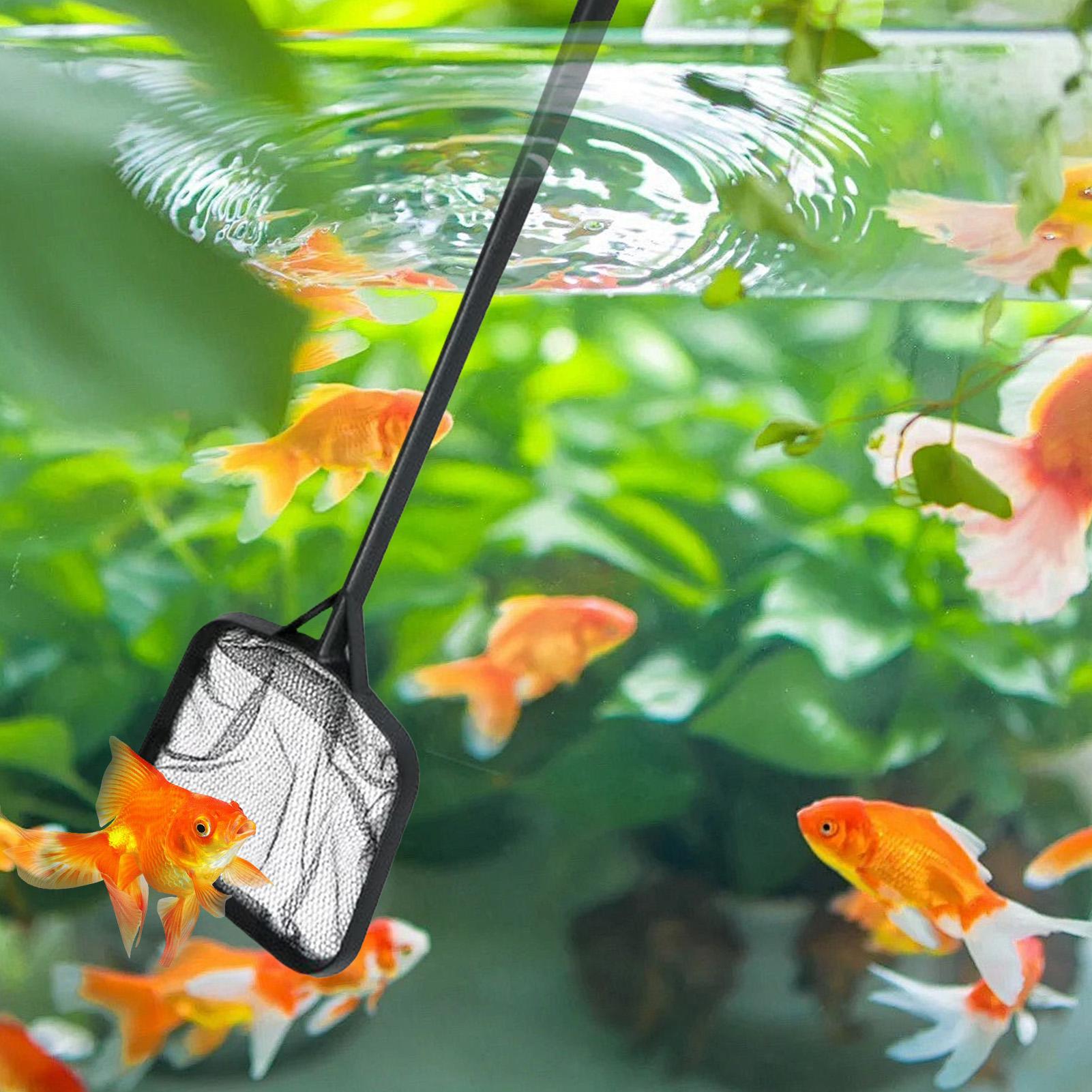 Filets de nettoyage pour pisci - Ocean Aquarium avis et prix