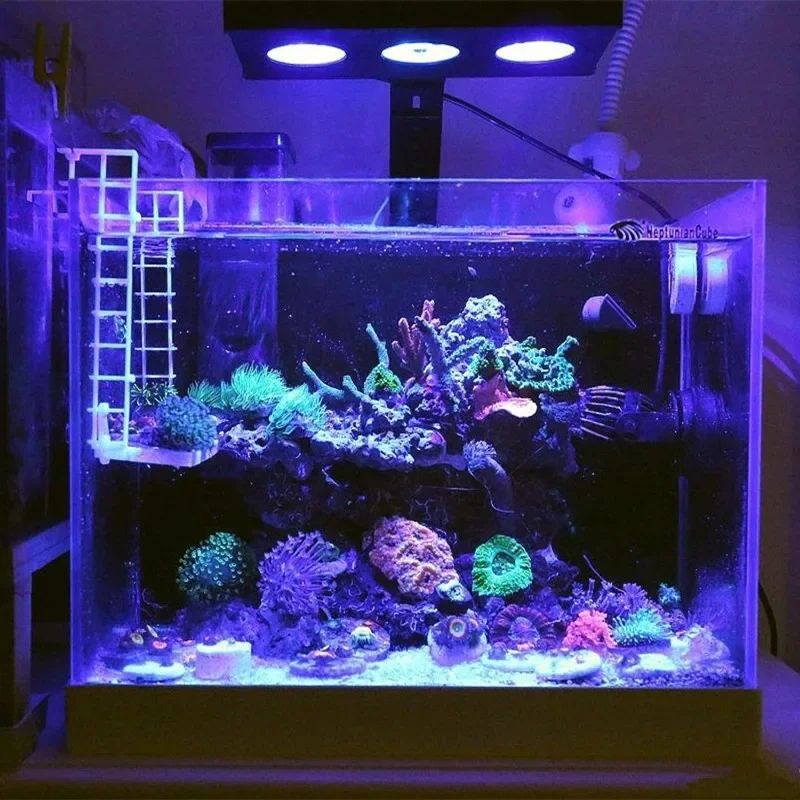 Lumière LED pour aquarium Spec - Reef Lighting avis et prix