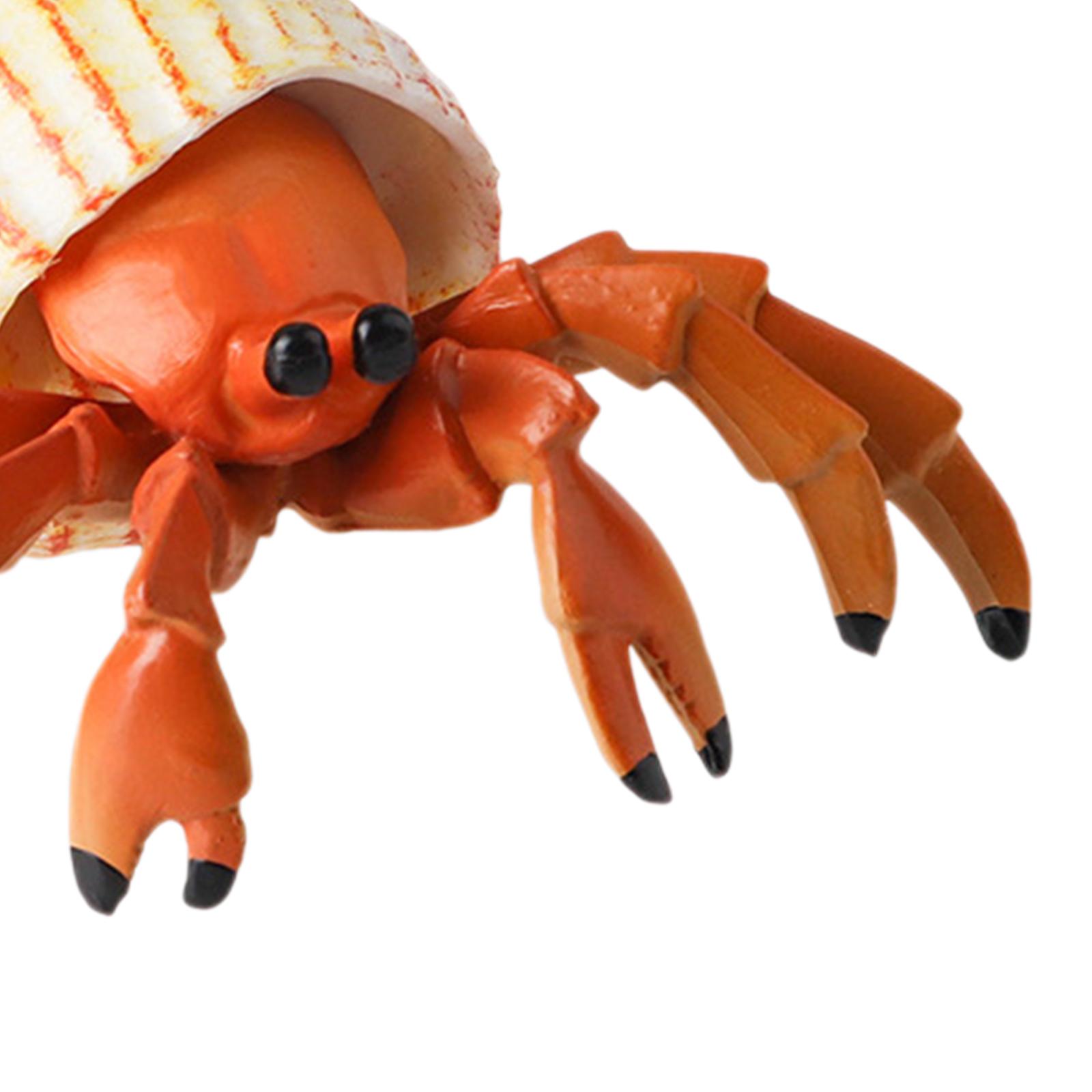 Figurine d'animal marin ermite - Marine Fish Tank avis et prix