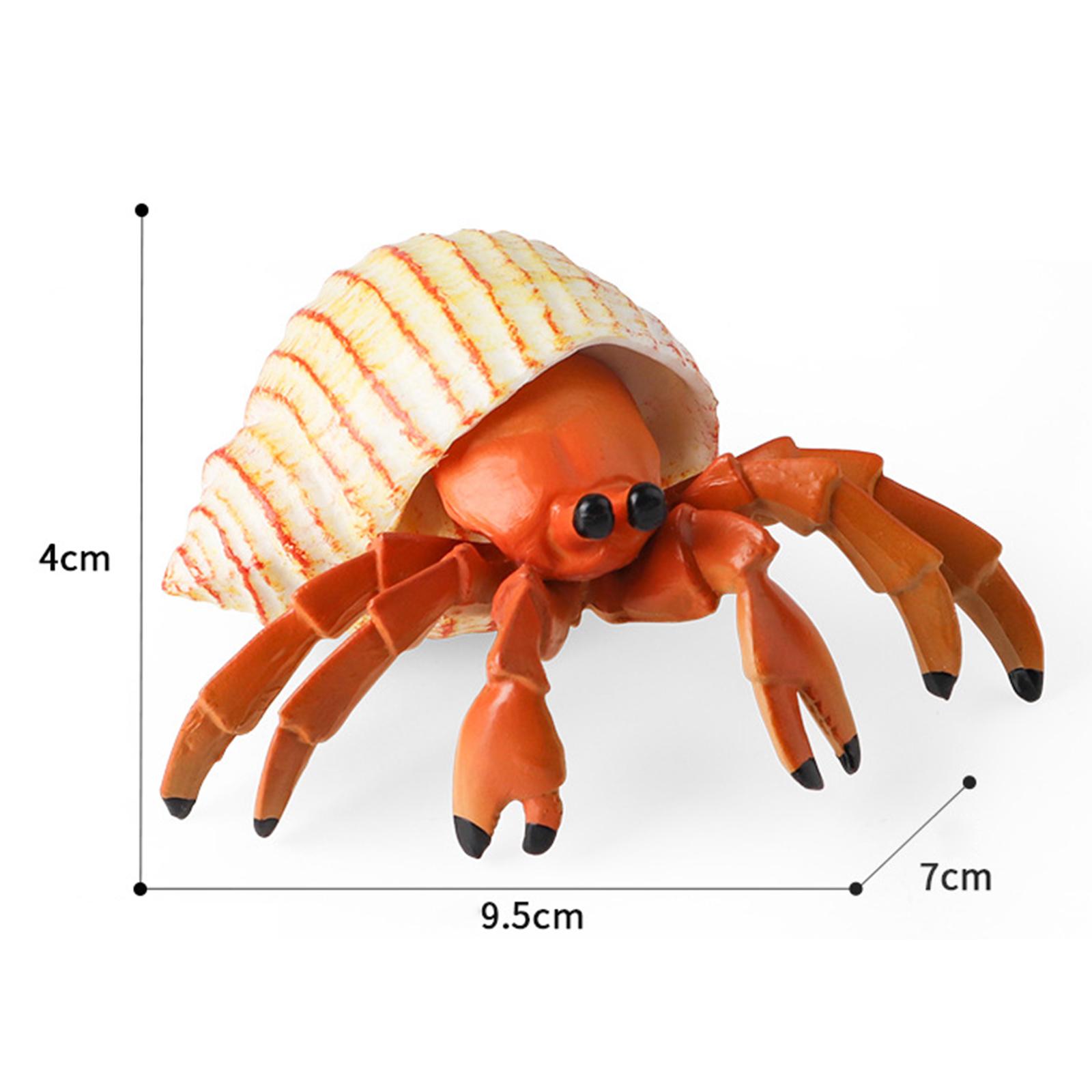 Figurine d'animal marin ermite - Marine Fish Tank avis et prix