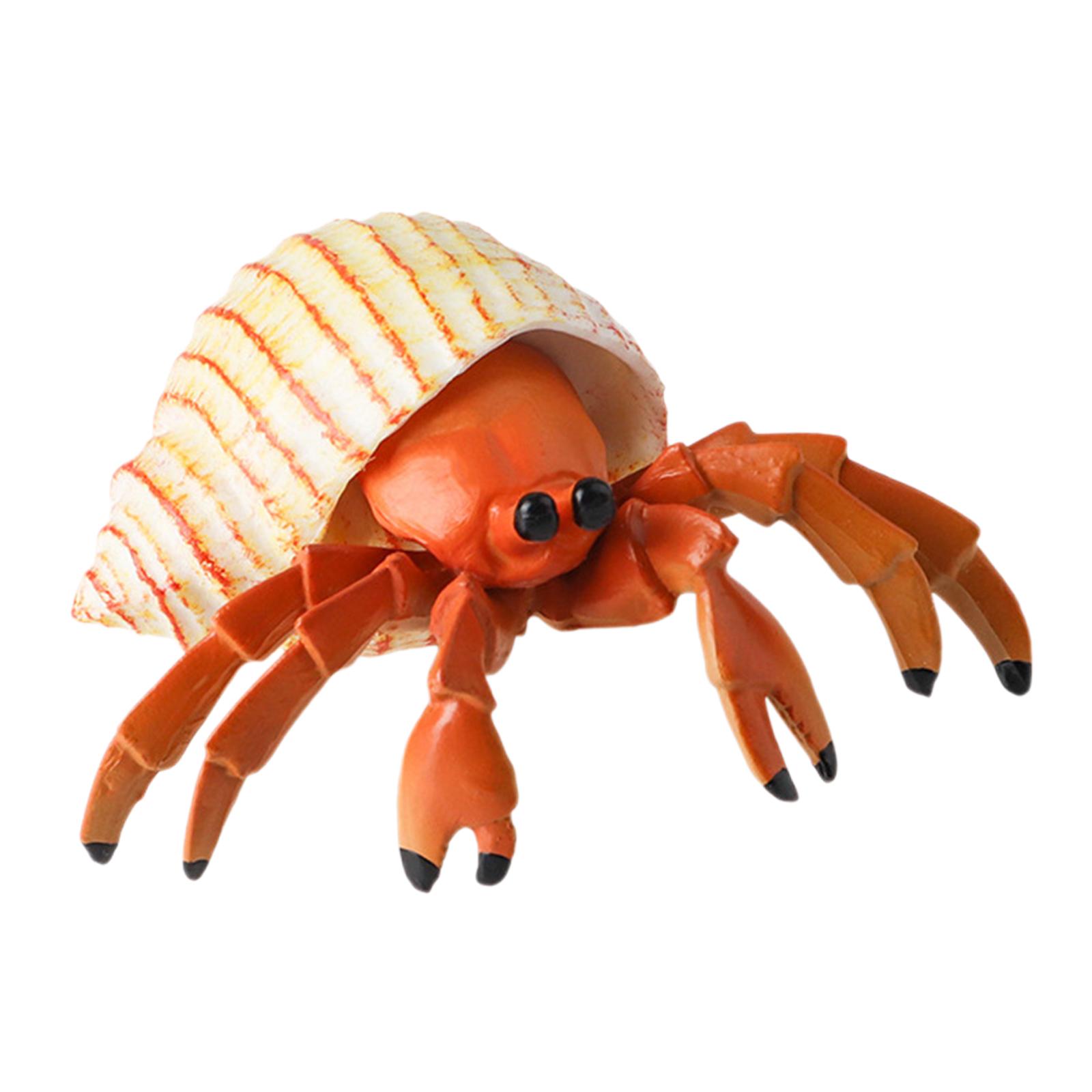 Figurine d'animal marin ermite - Marine Fish Tank avis et prix