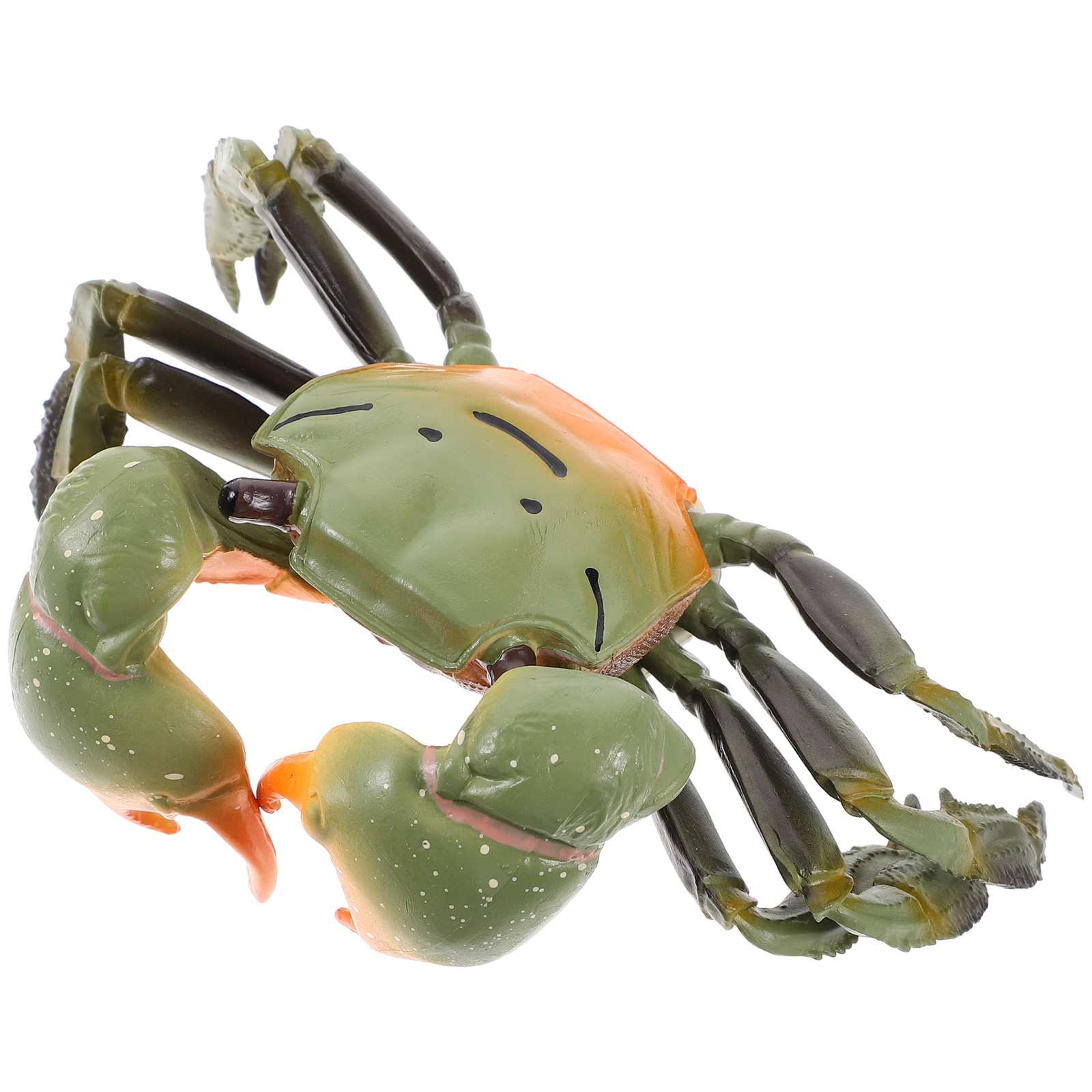Décoration réaliste en plastiq - Marine Aquarium avis et prix