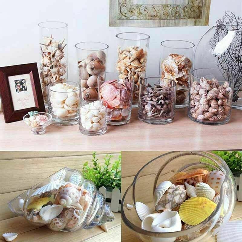 Coquillages marins mélangés de - Marine Fish Tank avis et prix
