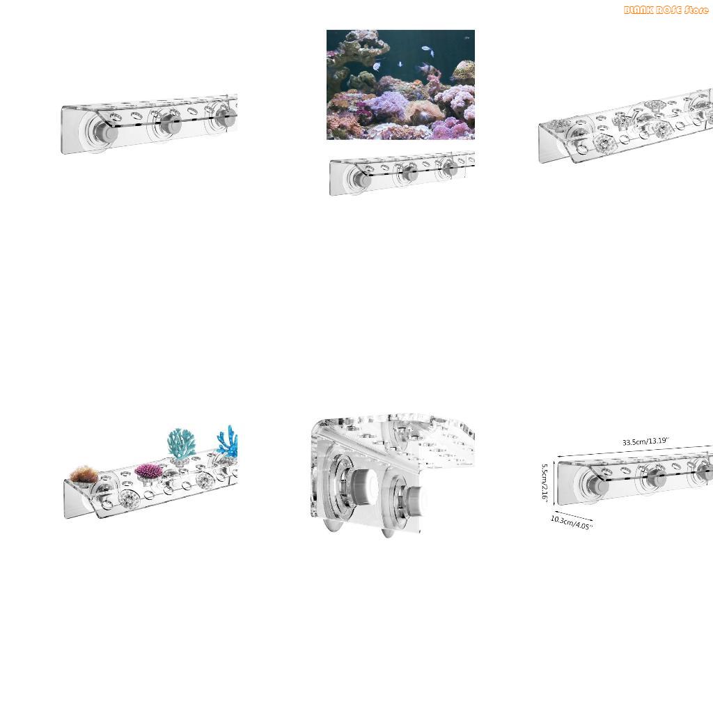 K1AE support corail en acryliq - Reef Aquarium avis et prix