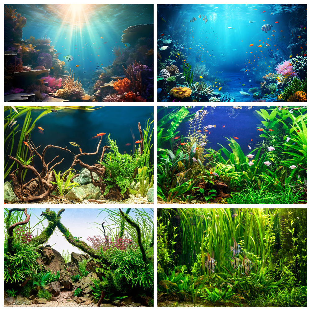 Sous la mer fonds marins monde - Aquarium Marine World avis et prix