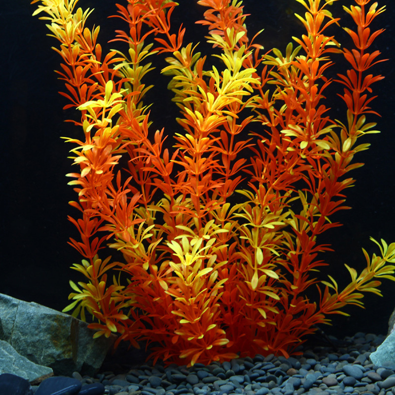 Plantes tropicales artificiell - Ocean Aquarium avis et prix