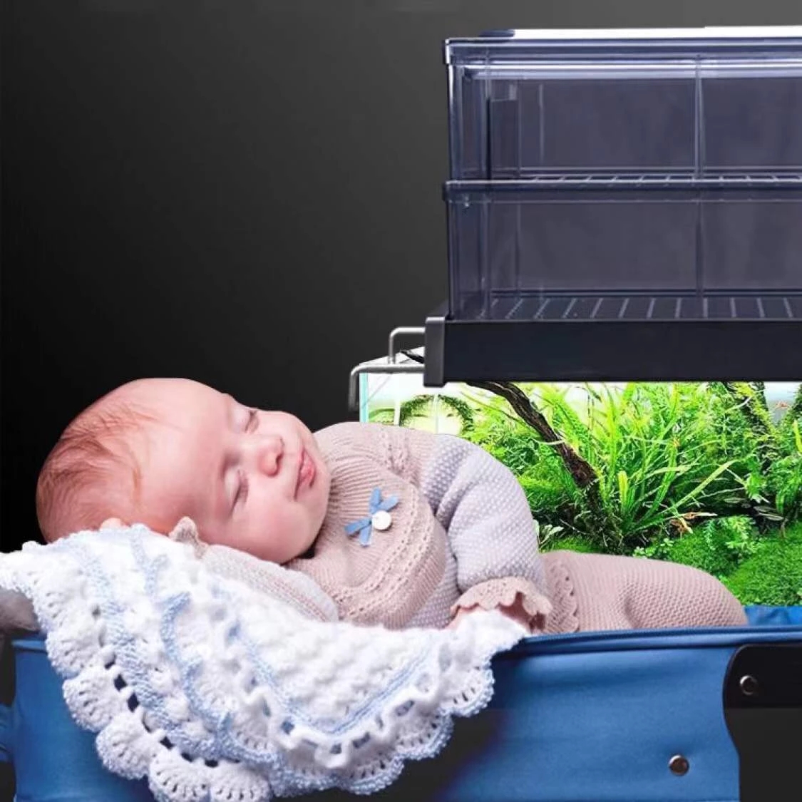 Boîte de filtre de réservoir d - Reef Tank Filter avis et prix