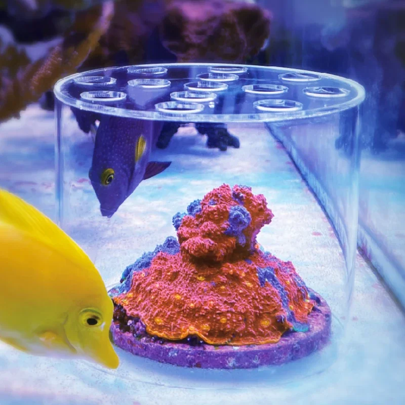 Vastocean – hotte d'alimentati - Reef Aquarium avis et prix