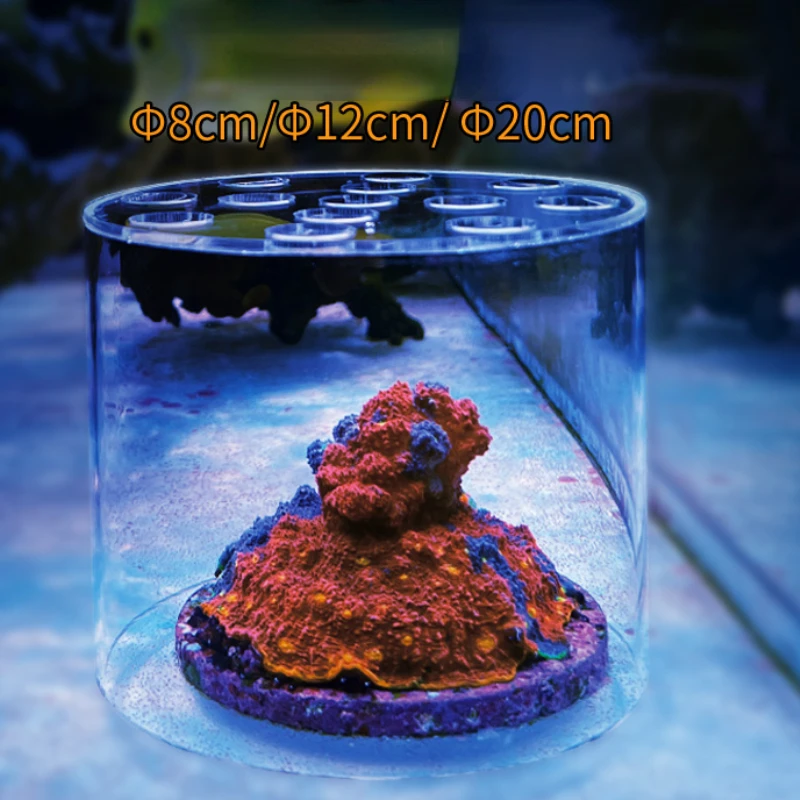 Vastocean – hotte d'alimentati - Reef Aquarium avis et prix