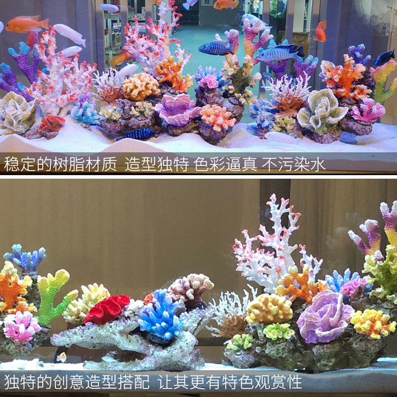 Kit de Décoration pour Petit A - Marine Aquarium Epoxy avis et prix