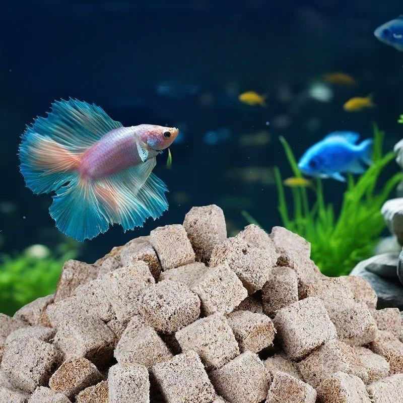 Cube de vers de sang lyophilis - Marine Aquarium Cube avis et prix