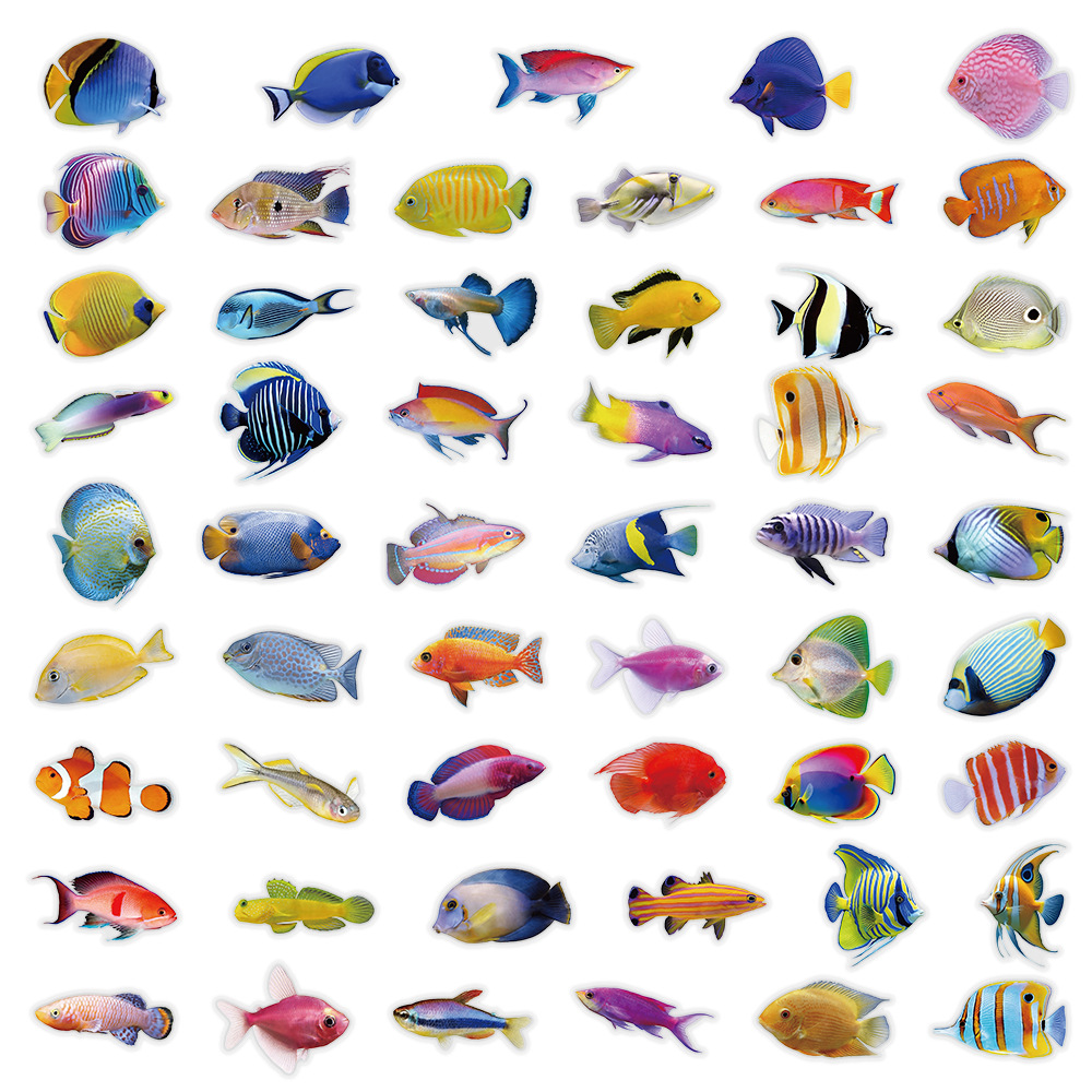 50-100 autocollants transparen - Marine Coral avis et prix
