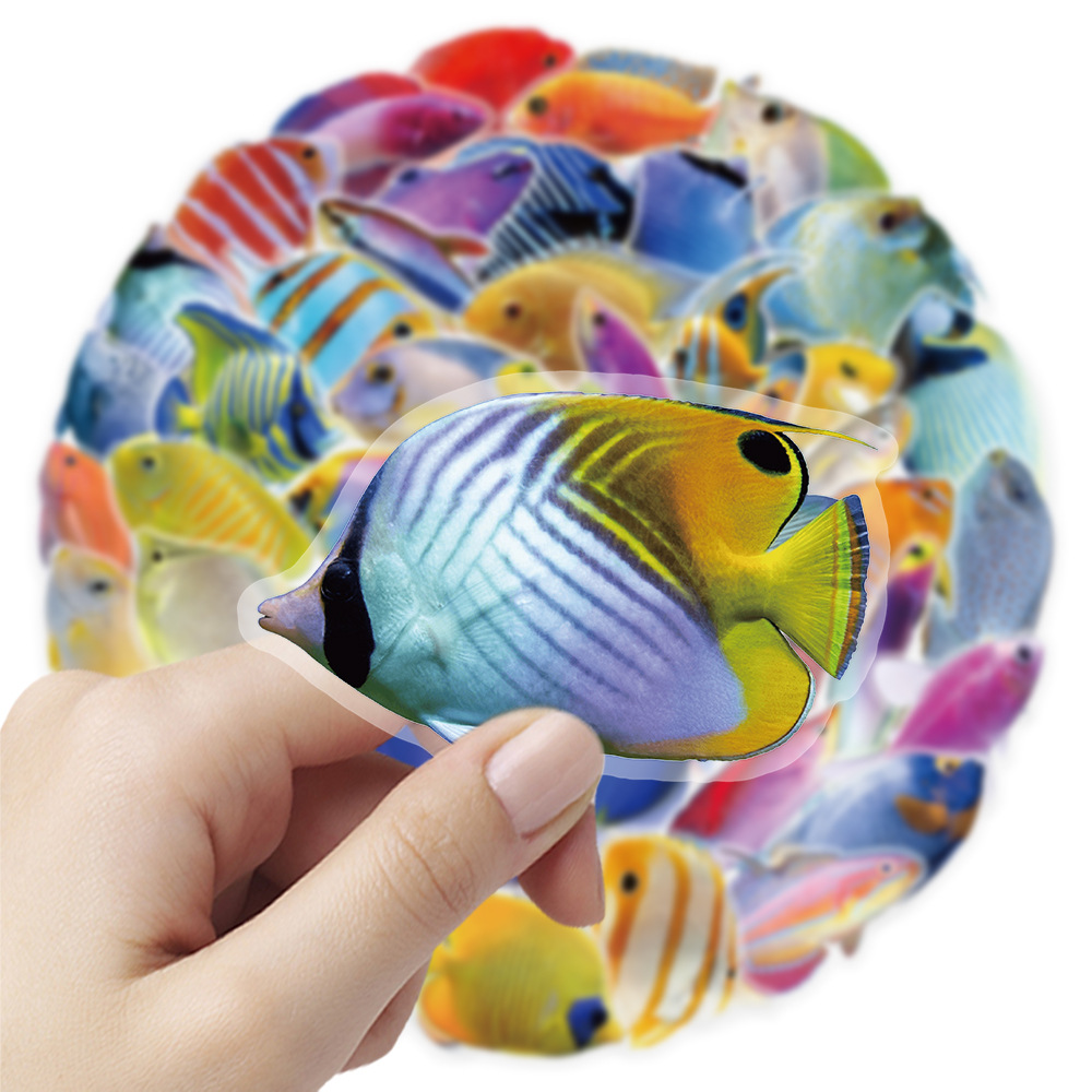 50-100 autocollants transparen - Marine Coral avis et prix