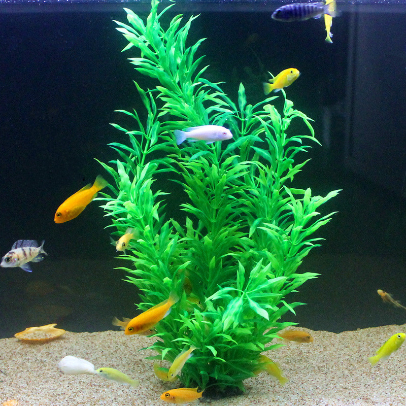 Plantes artificielles pour aqu - Ocean Aquarium avis et prix
